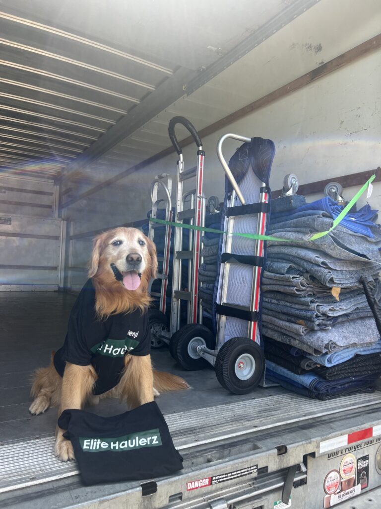 Movers with the dog mascot for Elite Haulerz the moving company located in Berrien County, MI