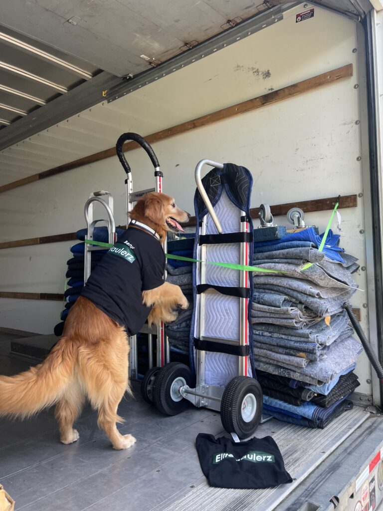 Best Movers making sure the moving blankets are secured in St. Joesph, MI